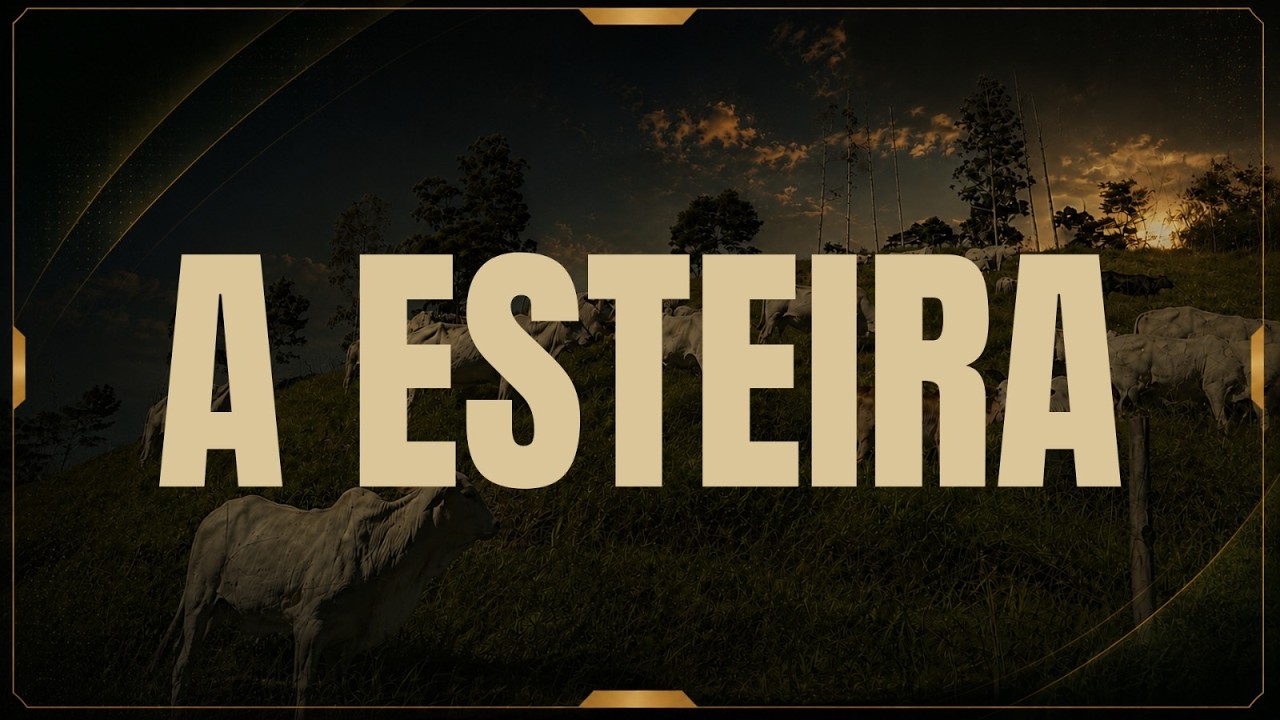 Replay da aula A Esteira de Produtos, com a Renata Erler