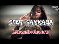 Lele Ahia Sent Gamkaua Raja Ji X Kamriya Dole Dole Gole Raja Ji Slowed And Reverb Song