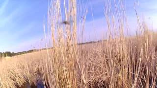 Рыбалка и отдых в алтайский край на озере горькое