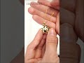 Paw Print Necklace With Picture Inside