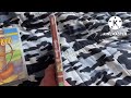 2 Different DVD Version Of Robin Hood