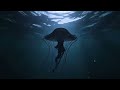 So Jellyfish Dance Official Visualizer