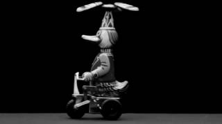 JARABE DE PALO - BONITO (50 PALOS)