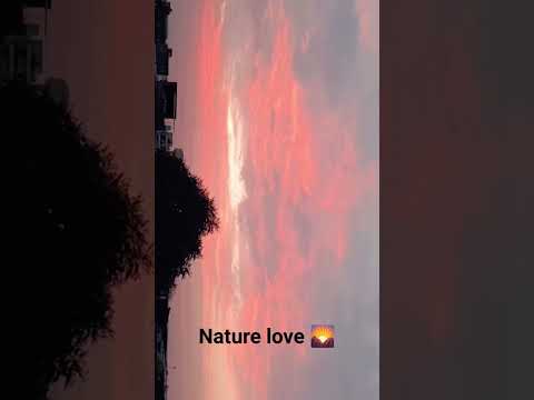 #Naziya shorts #nature #tranding #love #viral 🫶🎶✨😍