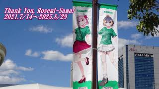 【非公式アレンジ】『バラして！！ ROSE ME』～Glockenspiel and Flute Short Remix～