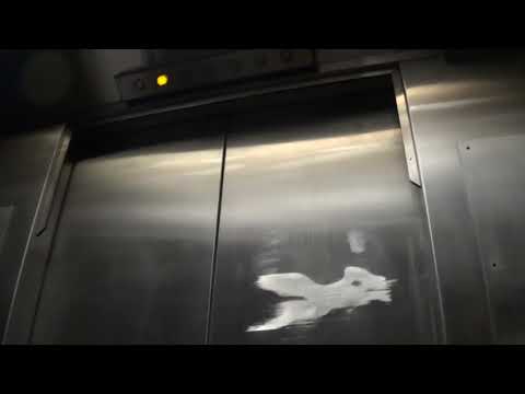 Horrible Westinghouse traction elevators @ Macy’s Men’s - San Francisco CA
