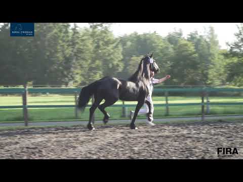 Locatiekeuring Stal Bosma 7-8-2020