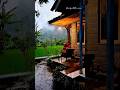 Monsoon Rain Status 4k HD Whatsapp Status Free Whatsappstatus Rainsong Rainstatus