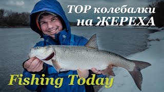 Блесна на жереха киллер