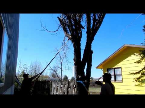Brandon Schmitt and Dallas DeCory Sr - Tree Removal - April 2016