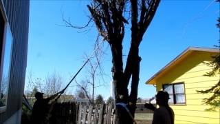 Brandon Schmitt and Dallas DeCory Sr - Tree Removal - April 2016