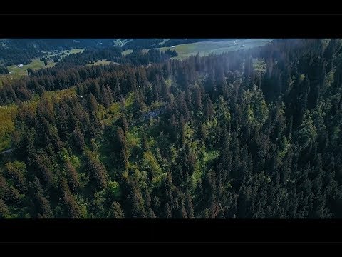 FRESSE x FLY - NORDGESICHT (Prod. by Priesemut)