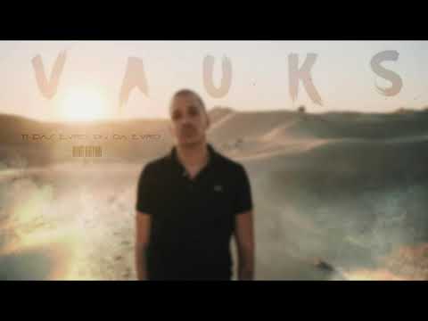 VAUKS & TimPs & Tomo - Ti Daš Evro On Da Evro (4K)