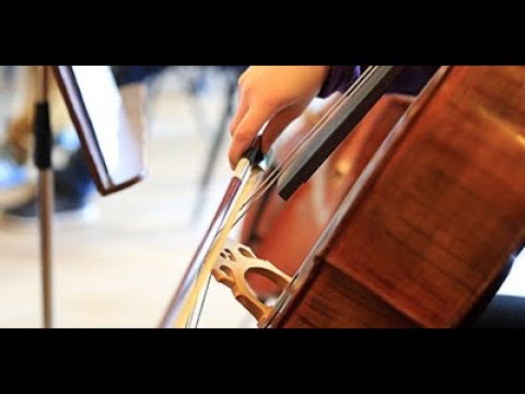 World Premiere of the Waldorf 100 Metarmorphosis