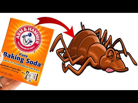 image-What happens if you pour baking soda on your bed?