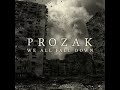 prozak time