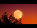 Kali Uchis After The Storm Ft Tyler The Creator Bootsy Collins 432 Hz HQ