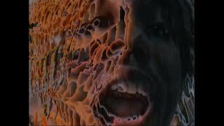 Shame Music Video