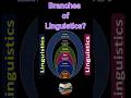 Branches Of Linguistics Phonetics Phonology Morphology Syntax Semantics Pragmatics