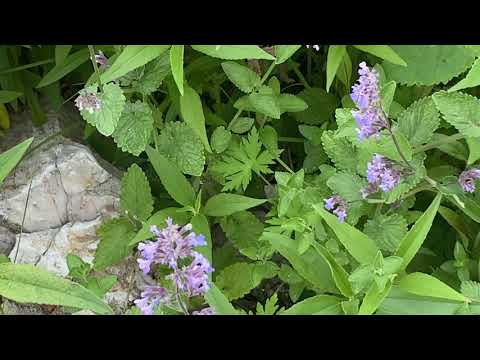 Kommt her, ich muss euch erzählen