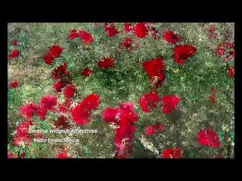 퍽 더 폴리스 | Fuck the Polis | The 27th JEONJU IFF OFFICIAL TRAILER 예고편