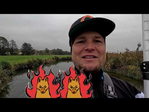 "Leben & Tod" - Das tote Biberbaby im Fluss Abens (Elsendorf-Biburg/12km)