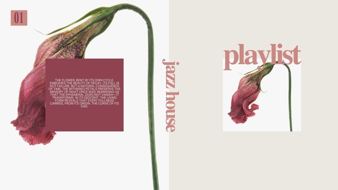 Smooth Jazz House Mix | Deep Grooves for Cafés, Hotels & Rooftops #1