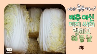 [나는농부다 281회 2부] 배추 여신 미지 씨의 쨍하고 해 뜰 날