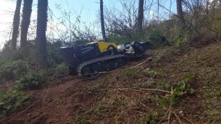 Energreen RoboEco Slovenia