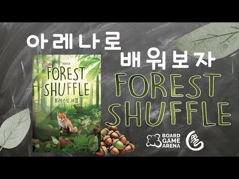 [아레나로 배워보자!]포레스트 셔플