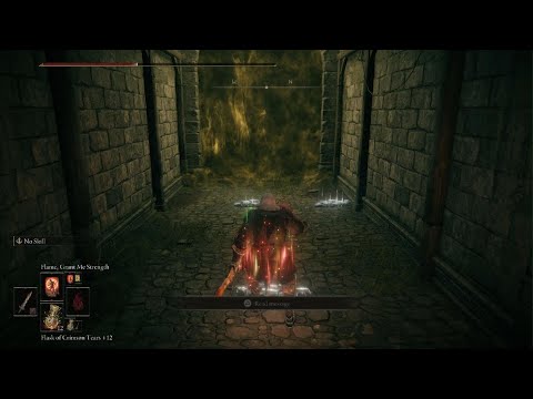 ELDEN RING Twinblade Glass Cannon VS Godrick (NG+7)