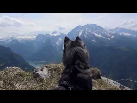 Königssee - Gipfelsturm auf den Jenner