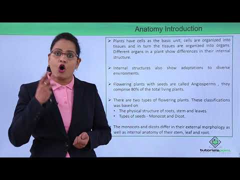 Anatomy of flowering plant Introduction Hindi
