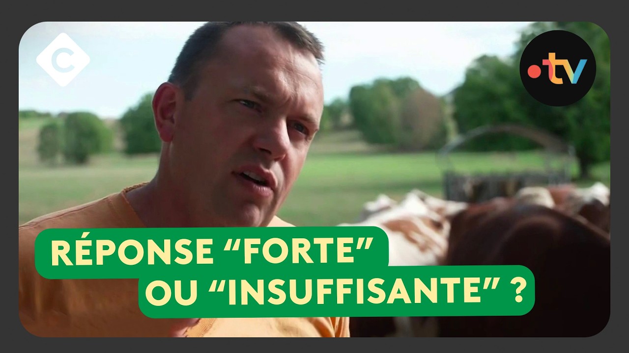 Agriculteurs : un plan d’aide d’un milliard d’euros  - Le 5/5 d’Amandine Bégot