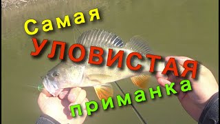 Уловистая приманка на окуня в июне