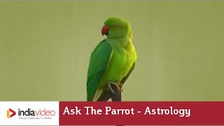 Why should I speak? Asks the parrot  