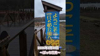 雨の日に、ぼっちでお花を見に行ったけど…☔🌸🫨【花の都公園/山梨県】【アラフォー独身】