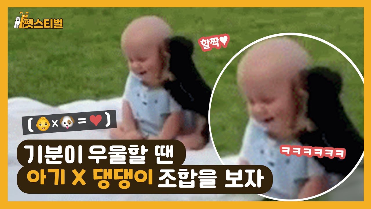 말이 필요없는 아기와 댕댕의 조합