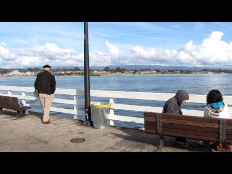 Santa Cruz beach, CA, USA