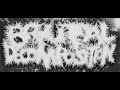 Brutal Decomposition - Sobre El Hedor Pestilente ...