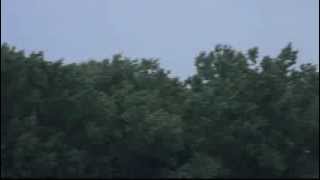 preview picture of video 'Flying a glider dangerous close to trees'