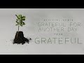 Grateful For Another Day