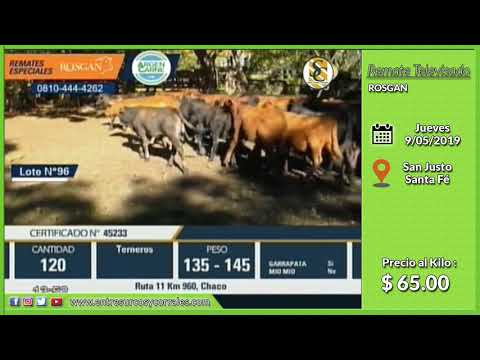 09-05-19 - Venta de Machos - Remate Televisado de ROSGAN - Santa Fé