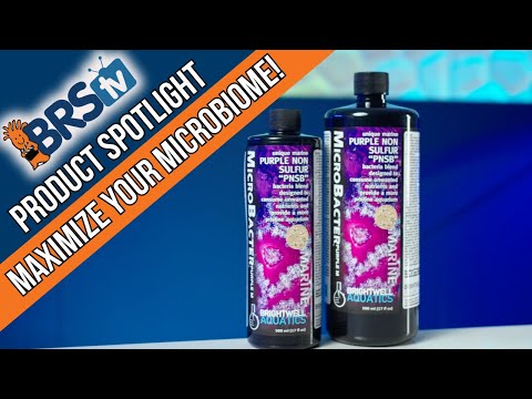 Clean, Feed & Stabilize Your Reef Tank! Brightwell MicroBacter Purple M