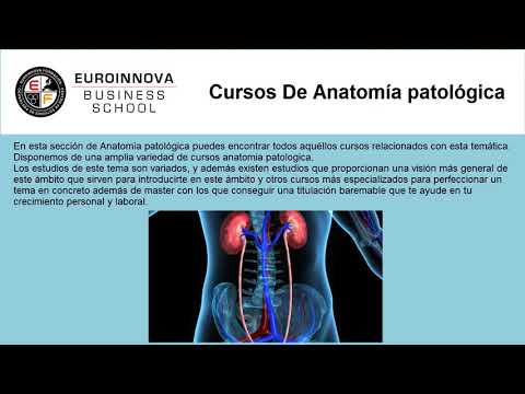 Cursos Youtube Online Euroinnova