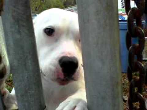 daija back with me!!