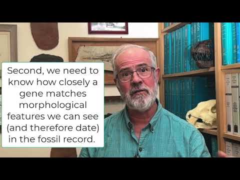 V26 Molecular Clocks