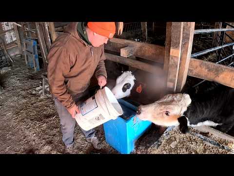 Record Freeze slams into the farm