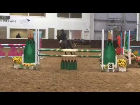 Anvils Premier Star British Novice 02/12/17