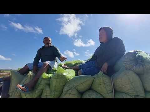 Feira da ração sal em jupi-Pe 30-08-2026